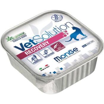 Monge VetSolution Recovery 100 g kép