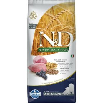 N&D Ancestral Puppy Medium & Maxi lamb & blueberries with pumpkin 12 kg kép