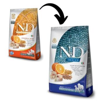 N&D Low Grain Dog Tőkehal&Narancs adult medium 2x 12kg kép