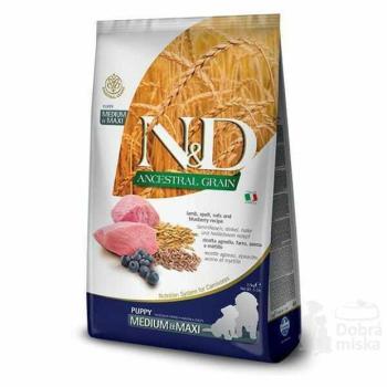 ND Dog LG Puppy Mini 2,5kg jahna, cseresznye kép