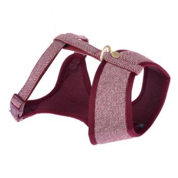 Nomad Tales Calma kutyahám, - L méret: 48 - 72 cm mellkaskörfogat kép
