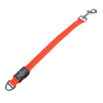 Nomad Tales Spirit USB LED pórázhosszabbító kutyáknak, narancssárga