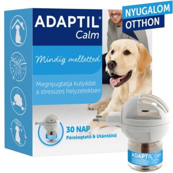 Nyugtatók és stresszoldók kutyáknak kép