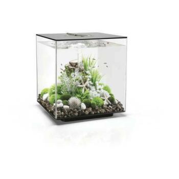 OASE biOrb Cube 60 MCR (72026/7) kép