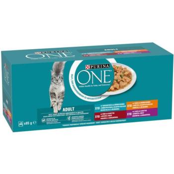 ONE Adult chicken/beef/lamb/ocean fish 40x85 g kép
