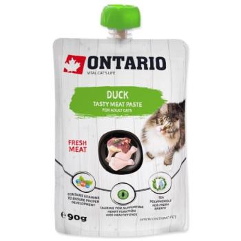 Ontariói kacsatészta 90g kép