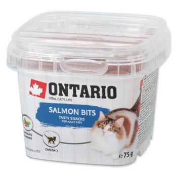 Ontariói lazac finomság, párnák 75g kép