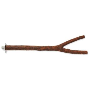 Perch Bird Jewel fa natúr 30cm kép