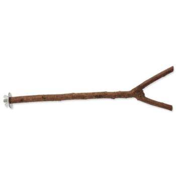 Perch Bird Jewel fa natúr35cm kép