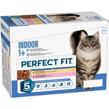 Perfect Fit Indoor 1+ - Csirke & lazac (48 x 85 g) kép