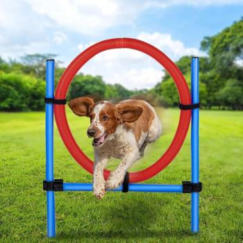 PET TOYS Ugráló gyűrű - 85 x 3 cm (EDC) kép
