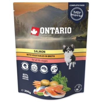 Pocket ontario lazac zöldségekkel húslevesben 300g kép