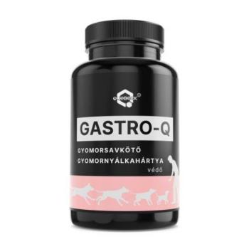 QUEBECK GASTRO-Q gyomorsavkötő, gyomornyálkahártya védő por 50g kép