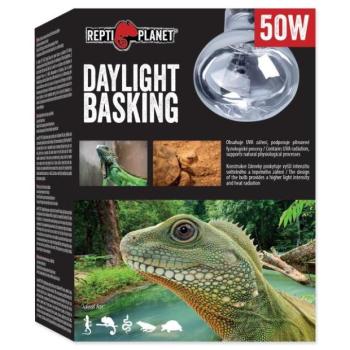 Repti Planet Daylight Basking Spot izzó 50W kép