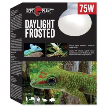 Repti Planet Daylight Frosted izzó 75W kép