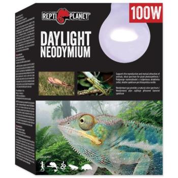 Repti Planet Daylight Neodímium izzó 100W kép