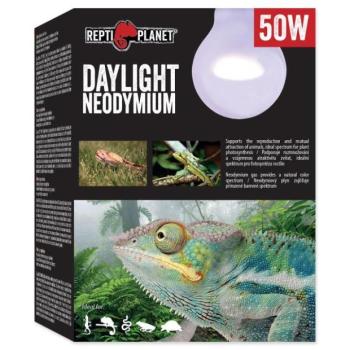 Repti Planet Daylight Neodímium izzó 50W kép
