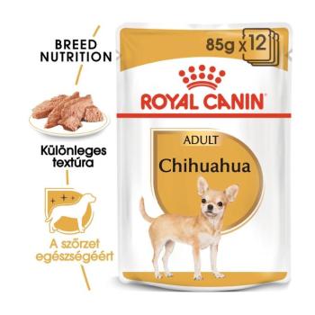 Royal Canin Chihuahua Adult - Csivava felnőtt kutya nedves táp 12 x 85 g kép