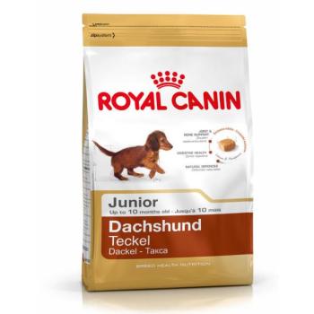 Royal Canin Dachshund Junior 1,5 kg kép