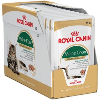 Royal Canin FBN Maine Coon 12x85 g kép