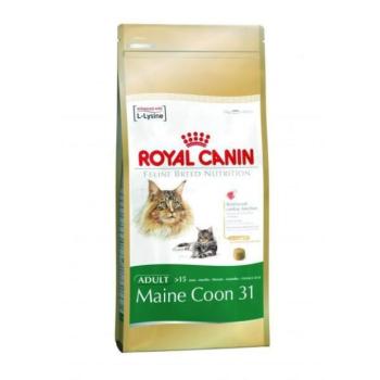 Royal Canin FBN Maine Coon 31 10 kg kép