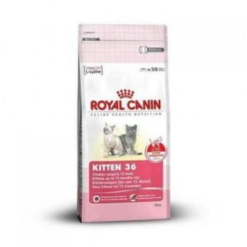 Royal Canin FHN Kitten 36 4 kg