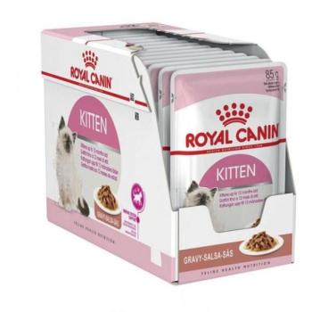 Royal Canin Kitten gravy 12x85 g kép