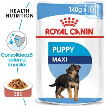 Royal Canin Maxi Puppy 10x140 g kép
