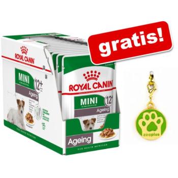 Royal Canin Pomeranian 12x85 g kép