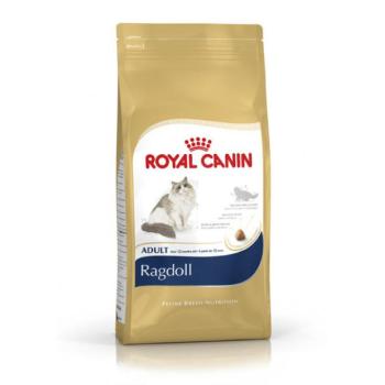Royal Canin Ragdoll 10 kg kép