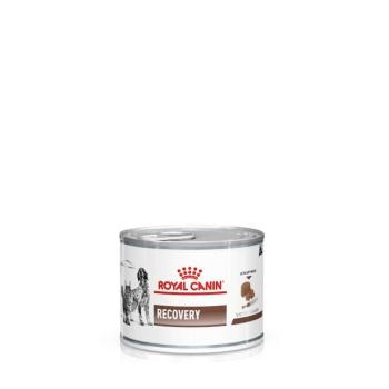 Royal Canin Recovery 12x195g kép