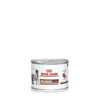 Royal Canin Recovery - Konzerv 12 x 195 g kép