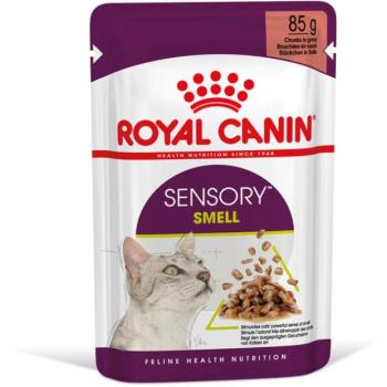 Royal Canin Sensory Smell gravy 85 g kép