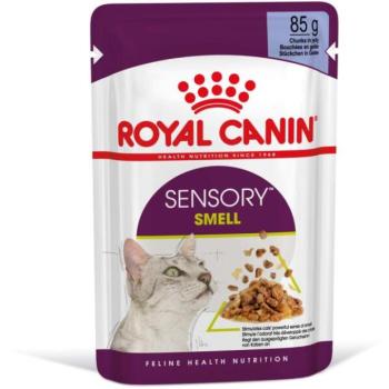 Royal Canin Sensory Smell jelly 12x85 g kép