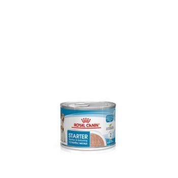 Royal Canin Start of Life Starter Mousse 12x195g