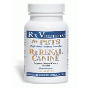 Rx Vitamins Renal Canine tabletta 120 db kép