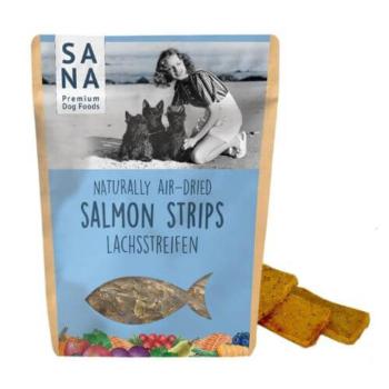 SANAdog Lazaccsíkok 100g kép