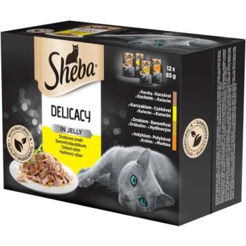 Sheba Delicacy in jelly poultry 12x85 g kép