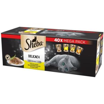 Sheba Delicacy in jelly poultry 40x85 g kép