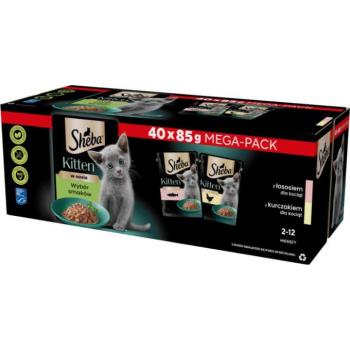 Sheba Kitten Selection of Flavors in sauce 40x85 g kép