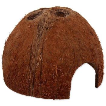 Shelter Repti Planet Coco Shell S kép