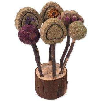 Toy Small Animals rágható nyalókák 17cm kép