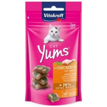 Treat Vitakraft Cat Yums csirke, macskamentával 40g kép