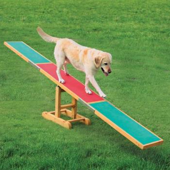 Trixie Agility hinta kutyáknak 300x34x54cm kép