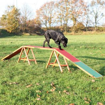 Trixie Dog Activity Agility palló kutyáknak - H 456 x Sz 30 x M 64 cm kép