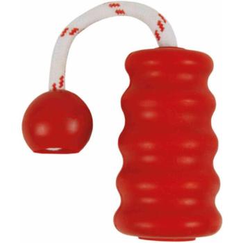 TRIXIE Dog Activity Floating Mot 9 cm 3236 kép