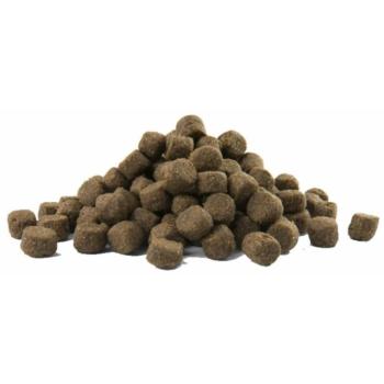 Versele-Laga Opti Life Prime Adult Salmon 2,5 kg kép
