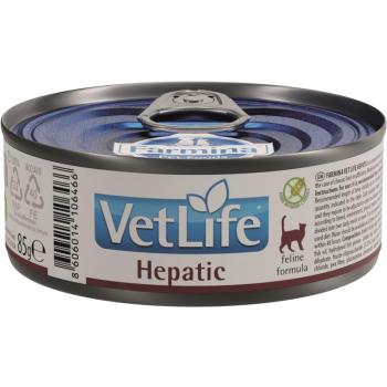 Vet Life Cat Hepatic konzerv 85 g kép