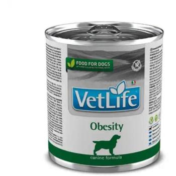 Vet Life Obesity 300 g kép