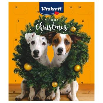 Vitakraft adventi naptár finom válogatás étrend-kiegészítő eledel kutyának kép